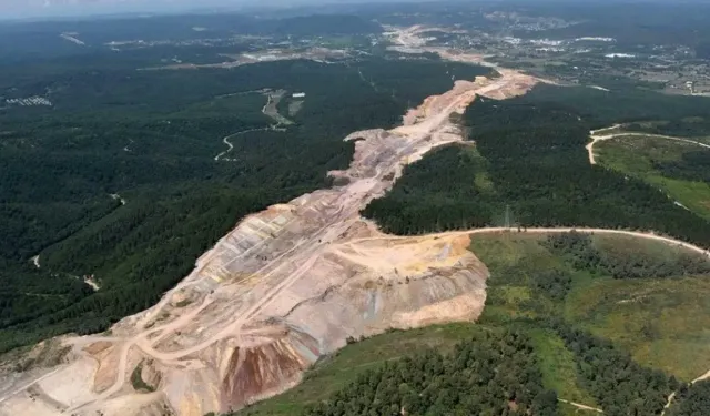Maden Uğruna Doğa Talanı: Kuzey Ormanları'nda 3 Binden Fazla Ağaç Kesilecek