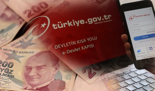 1 Gecede 14 Bin Lira Zamlanacak: e-Devlet'e Akın Bekleniyor