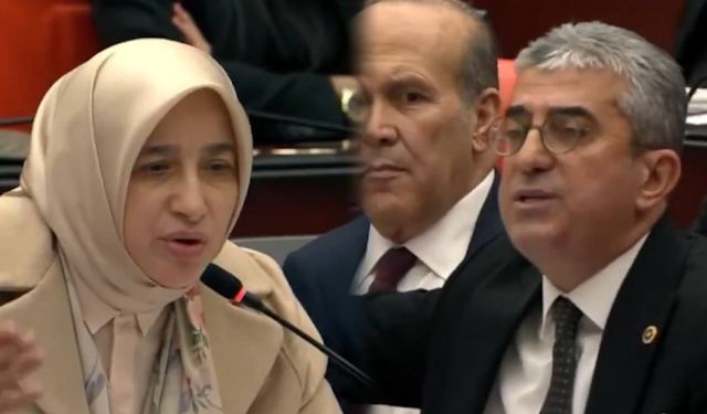 AKP'li Özlem Zengin’in Sözlerine Tepki Yağıyor... ‘Evet Utanmıyoruz’ Yanıtı: Meclis’te ‘Liyakat’ Tartışması