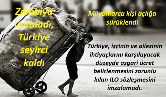 Zambiya İmzaladı, Türkiye Seyirci Kaldı, Milyonlarca Kişi Açlığa Sürüklendi