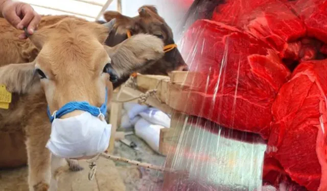 Kırmızı Et Fiyatlarındaki Artış Durdurulamıyor! 'Kesilecek Hayvan Yok'