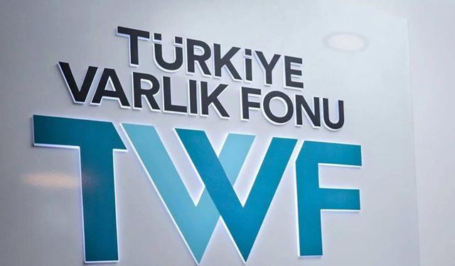 Varlık Fonu Borç Batağında: Denetçilere Kapılar Kapalı