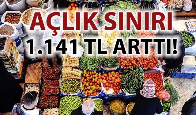 TÜRK-İŞ Şubat Ayı Verilerini Paylaştı: Açlık Sınırı 32 Bin TL’yi Aştı, Yoksulluk Sınırı İse....