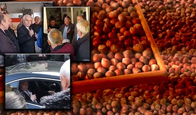 Fındığın Başkentinde Maden İsyanı: AK Partili Vekil Protestolara Dayanamadı Köyü Terk Etti