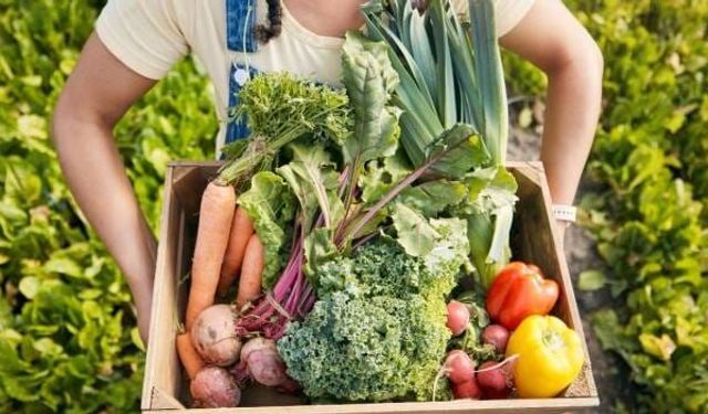 Yılın Yarısına Gelmeden Fiyatlar Uçtu: Yurttaşa Sağlıklı Beslenme de Hayal Oldu