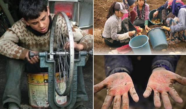 'Avrupa'nın En Yoksul Çocuğu Türkiye'de'