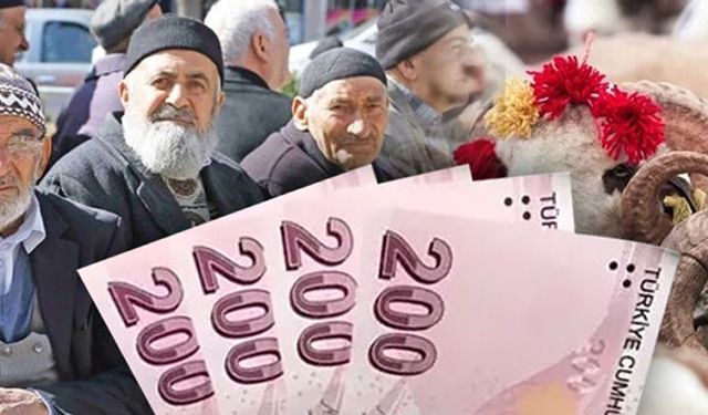 Yurt içi Maliyetler Yurt Dışının 2,5 Katına Çıktı:Kurban Fiyatları Asgari Ücretle Yarışıyor, Emekliyi Karalar Bağladı...