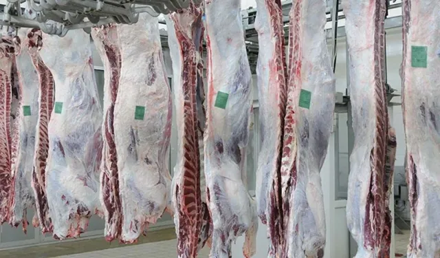 Kurban Bayramı Öncesi Et Fiyatlarında 100 Günlük Çıkmaz: 'Üreticiler Maliyetlerin Yükselmesinden Şikayetçi'