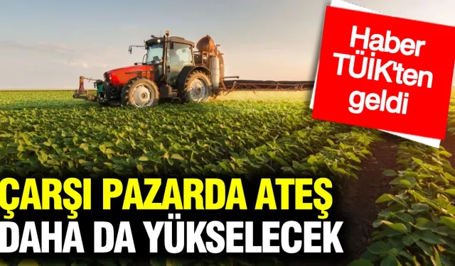 Tarım Üretici Fiyatlarında Dev Artış