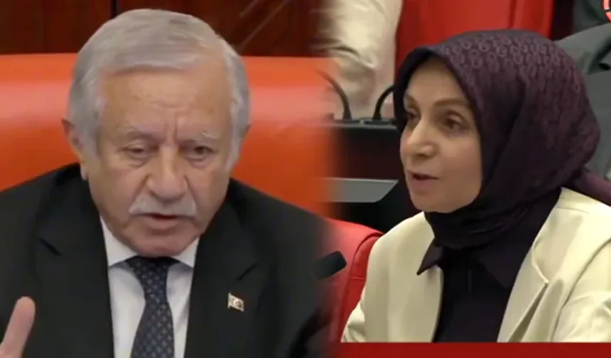 AKP’li Vekile ‘MHP'li Celal Adan’dan İnce Ayar: Meclis’te Sert Gerilim, ''Kimi Döveceksin, Öyle Şey Olur mu?''