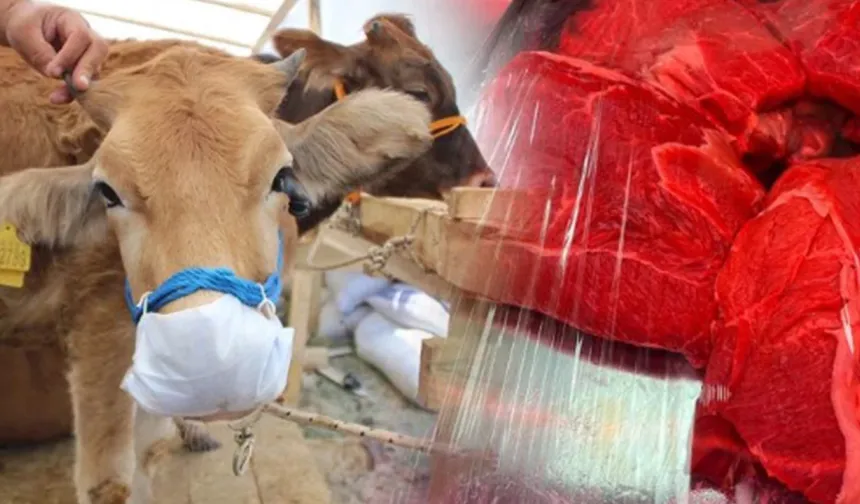Kırmızı Et Fiyatlarındaki Artış Durdurulamıyor! 'Kesilecek Hayvan Yok'