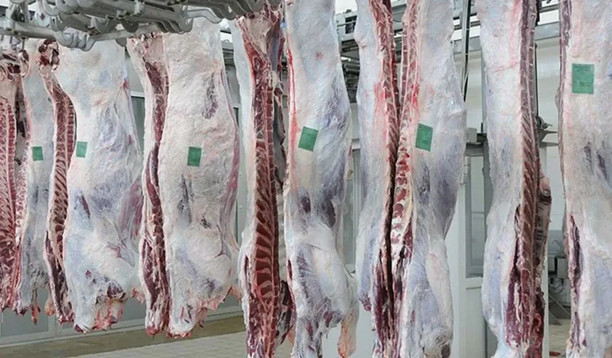 Kurban Bayramı Öncesi Et Fiyatlarında 100 Günlük Çıkmaz: 'Üreticiler Maliyetlerin Yükselmesinden Şikayetçi'