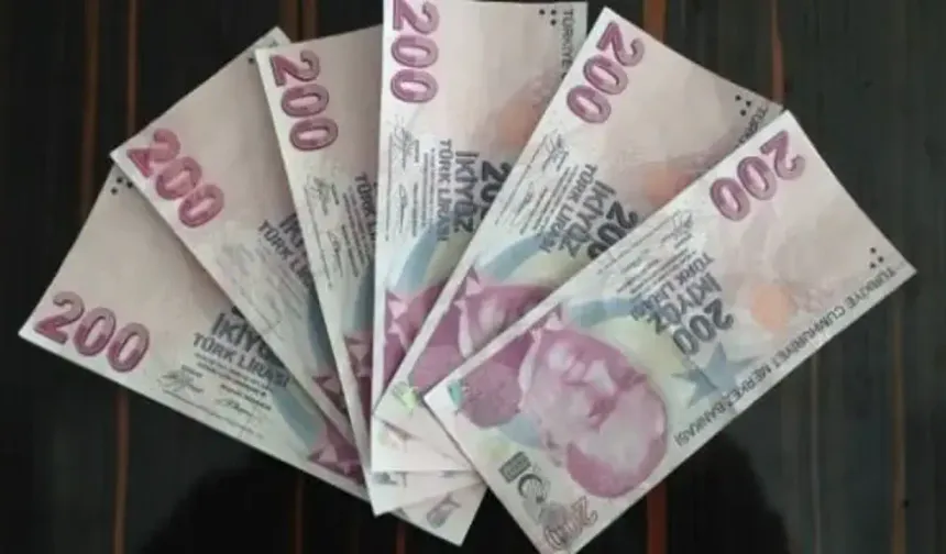 Dünün 200 TL'si Bugün Sadece 8 Lira Ediyor: Alım Gücünü Yüzde 96 Kaybetti