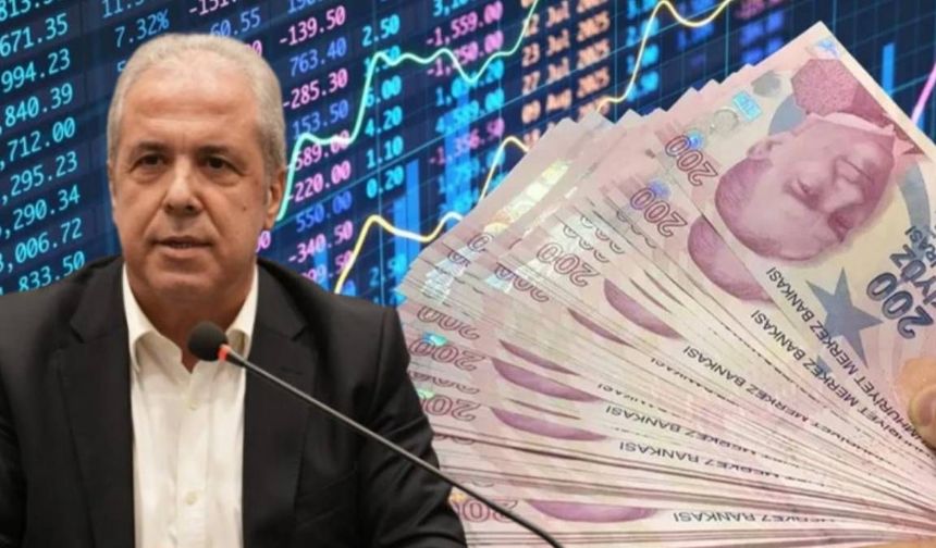 AKP'li Şamil Tayyar'dan Fon Vurgununda Yeni İddia:"Cumhurbaşkanlığının Adını Kullanarak Yatırımcıları İkna Etmişler"